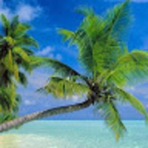 Meet your Posher, Sienna